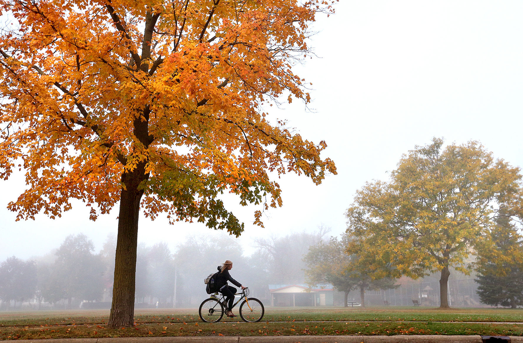 Morning Fog